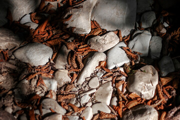 Dry orange leaves fell from the tree onto white stones. Autumn leaves lie in the shade among the white stones.