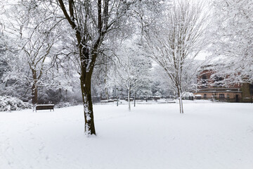 Snow in Sunday Park in England