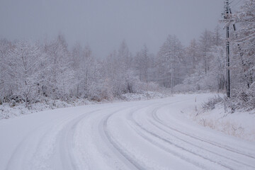 冬の美瑛町 雪が積もった道路