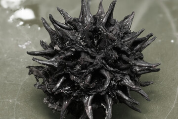 Obraz premium Focus Stack experiment