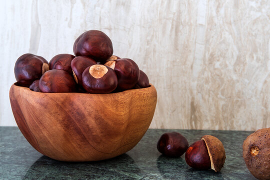 Buckeye Chestnut in wooden bowl on marble surface. Side View formation of Fresh conkers.