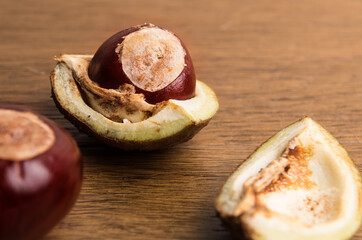 Buckeye Chestnut and conker in shell on wood.