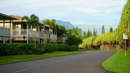 Fototapeta premium Princeville Kauai Hawaii Landscape