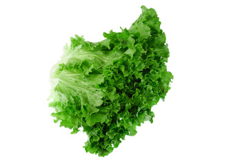 Fototapeta na wymiar close up on fresh green lettuce texture