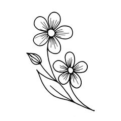 Stylized illustration of a forget-me-not. Spring-summer flower drawn by contour on a white background. Vector