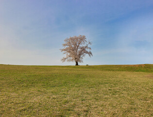 Fototapeta premium Haman Museum in Haman County, Gyeongnam, South Korea, Asia
