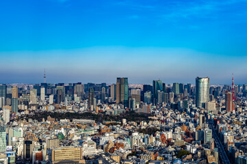 東京都渋谷区から見た東京の都市景観