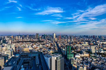 Fototapeta premium 東京都渋谷区から見た東京の都市景観
