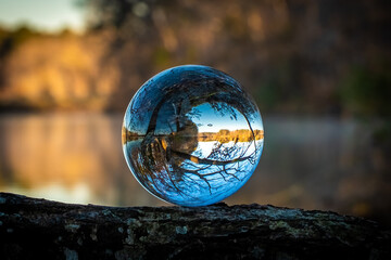 A lensball sits atop a tree limb, revailing the inverted image of a tree and its reflection.