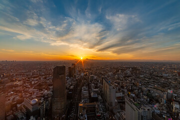 東京都渋谷区から見た東京の都市景観