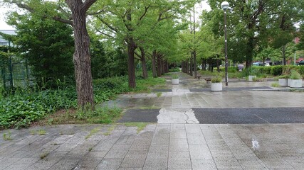 広場公園