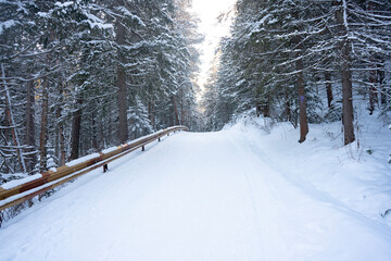 The road is covered with snow, illuminated by sunlight.