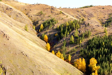 picturesque spurs of the Nurali ridge in the Ural Mountains in the Republic of Bashkortostan on an...