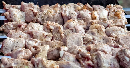 Pieces of marinated with spices pork meat on skewers closeup