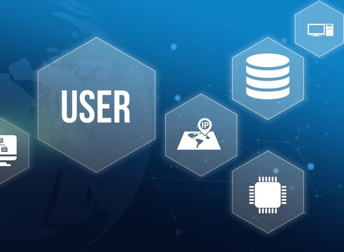 User