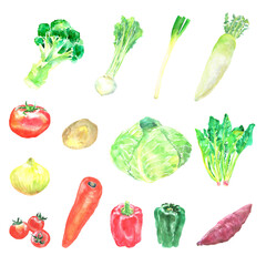 水彩で描いた野菜のイラストセット
