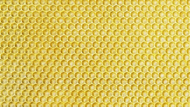 Close-up yellow honeycomb background move