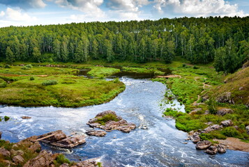 Fast river with rocky banks, overgrown with trees in summer