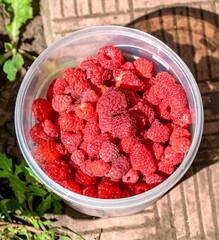 Raspberries in a transparent plastic container close up on the background of the garden path