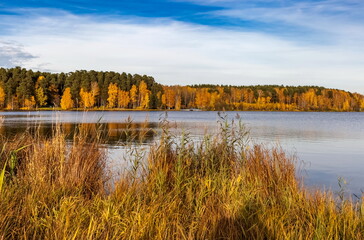 Lake view, yellow and green trees, blue sky with white clouds in autumn