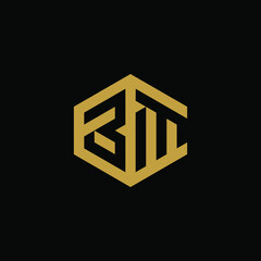 Initial letter BM hexagon logo design vector