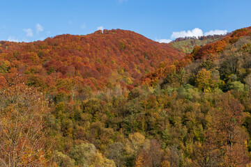 Autumn mountain landscape - yellowed and reddened autumn trees combined with green needles and blue skies. Colorful autumn landscape scene in the Ukrainian Carpathians.