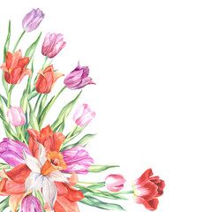 watercolor bouquet of tulips