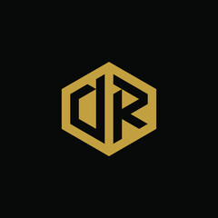 Initial letter DR hexagon logo design vector