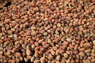 Roasted peanuts in the oven