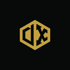Initial letter DX hexagon logo design vector