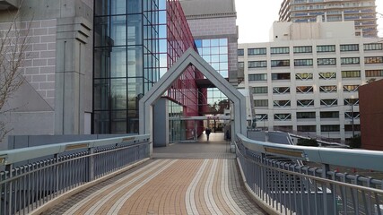 Fototapeta premium 公園広場