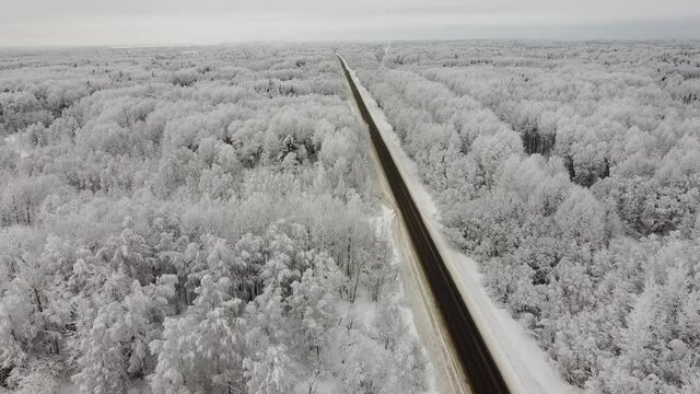 Landscape of nature in a snowy forest, aero photo, top view of a forest in winter	
