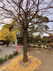 公園広場