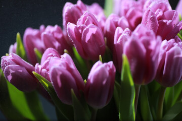 Bouquet of fresh flowers. Holiday gift to your loved one. Background St. Valentine's Day. Rose, tulip, iris flower arrangement.