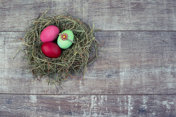 colored easter eggs in dry grass straw
