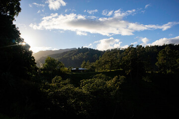 
trees, sky, clouds, mountain, night