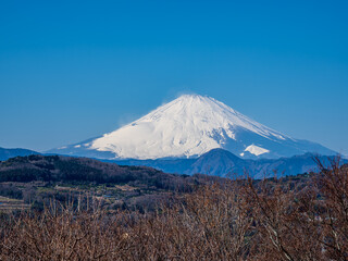 Fototapeta premium 早春の青空 吾妻山公園からの富士山 1月