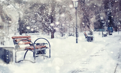 Winter forest landscape. Tall trees under snow cover. January frosty day in the park.