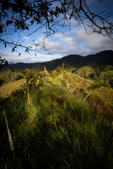 
trees, sky, clouds, mountain, night