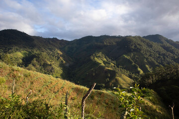 
trees, sky, clouds, mountain, night
