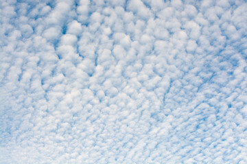 moutons dans le ciel