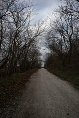 
trees, sky, clouds, mountain, night