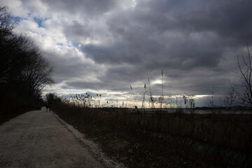 
trees, sky, clouds, mountain, night