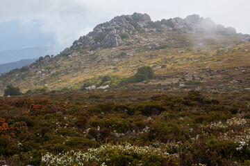 The alpine landscape in Mount Roland, Tasmania, Australia.