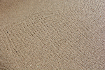 wet sea sand close up. concept - background for creativity, place for text. horizontal photo.