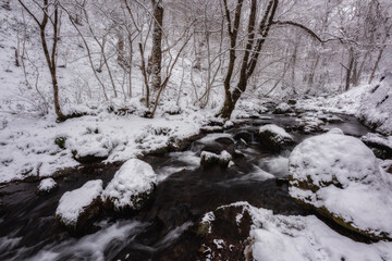 下郷町小野川渓谷の雪景色