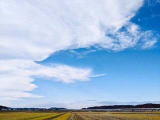 青空