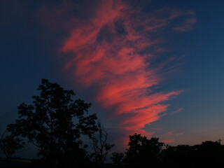 Fototapeta na wymiar Clouds pink in the evening sky