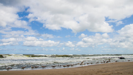 Panorama nad morzem Bałtyckim