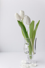 bouquet of white tulips in a transparent vase on a white background